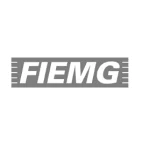 fiemg